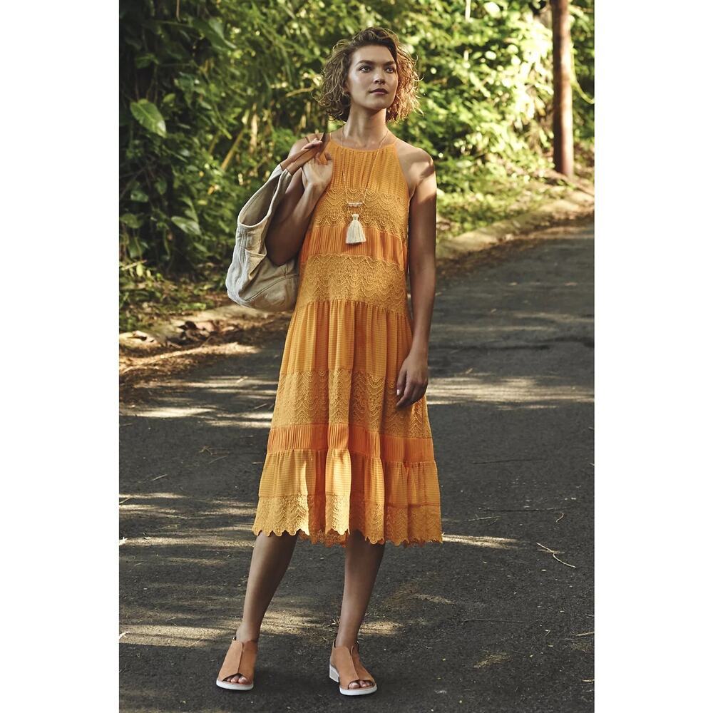 Anthropologie Hudson in Paris Midi Dress